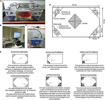 The IntelliCage System: A Review of Its Utility as a Novel Behavioral Platform for a Rodent Model of Substance Use Disorder